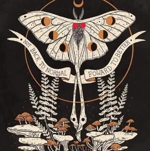 Meet your Posher, Cassidy